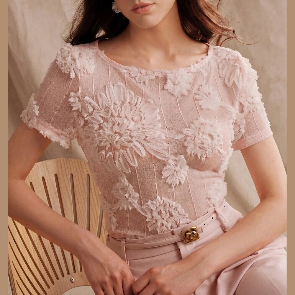 Blush Pink Sheer Mesh Top with 3D Floral Applique